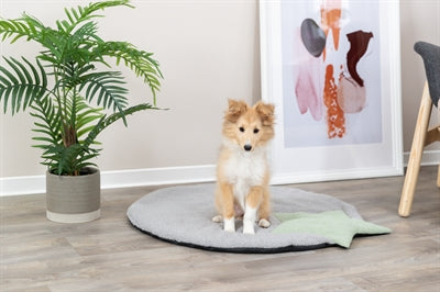 Trixie Welpenliege Trixie Star Grau/Mintgrün 86X80 CM